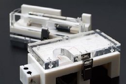 Microfluidic