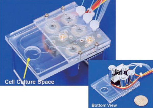 All-In-One disposable PDMS chip All-In-One disposable PDMS chip